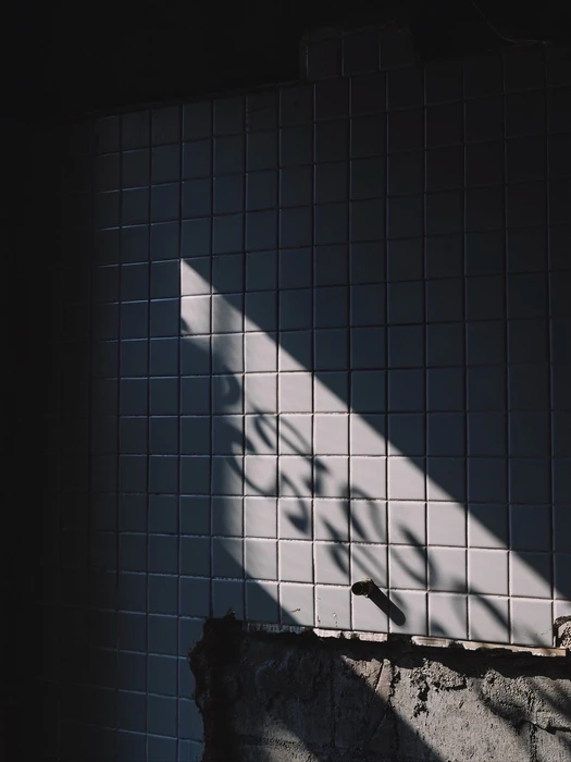 画像408